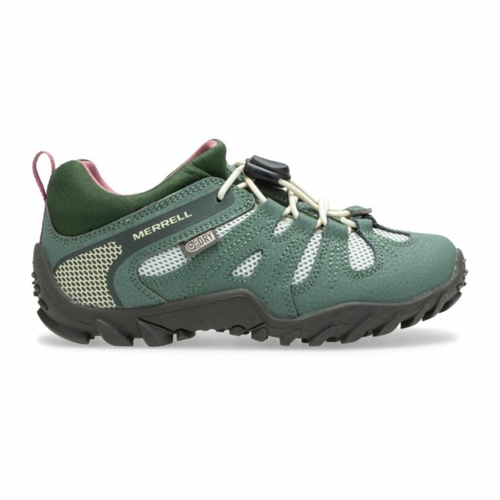Hiking shoes
